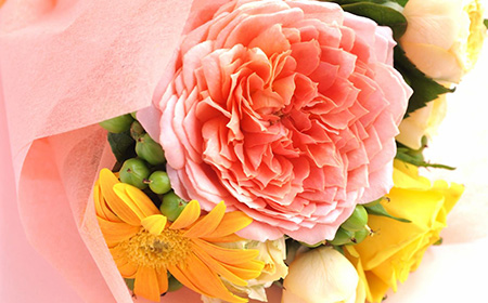 もらえるモール 母の日に贈る花の種類は何が良い 花店での花の買い方 選び方 ポイントサイト