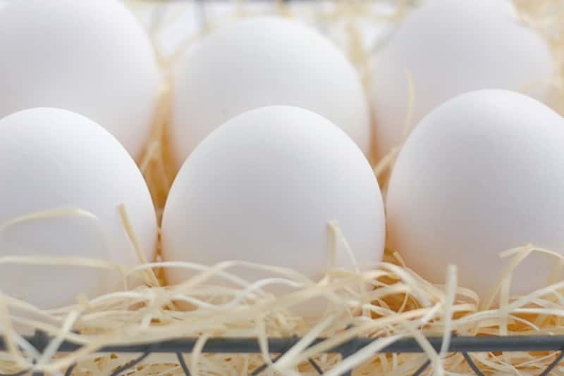 管理栄養士監修｜離乳食の卵の冷凍、使い切る目安や解凍方法、レシピを一挙公開！